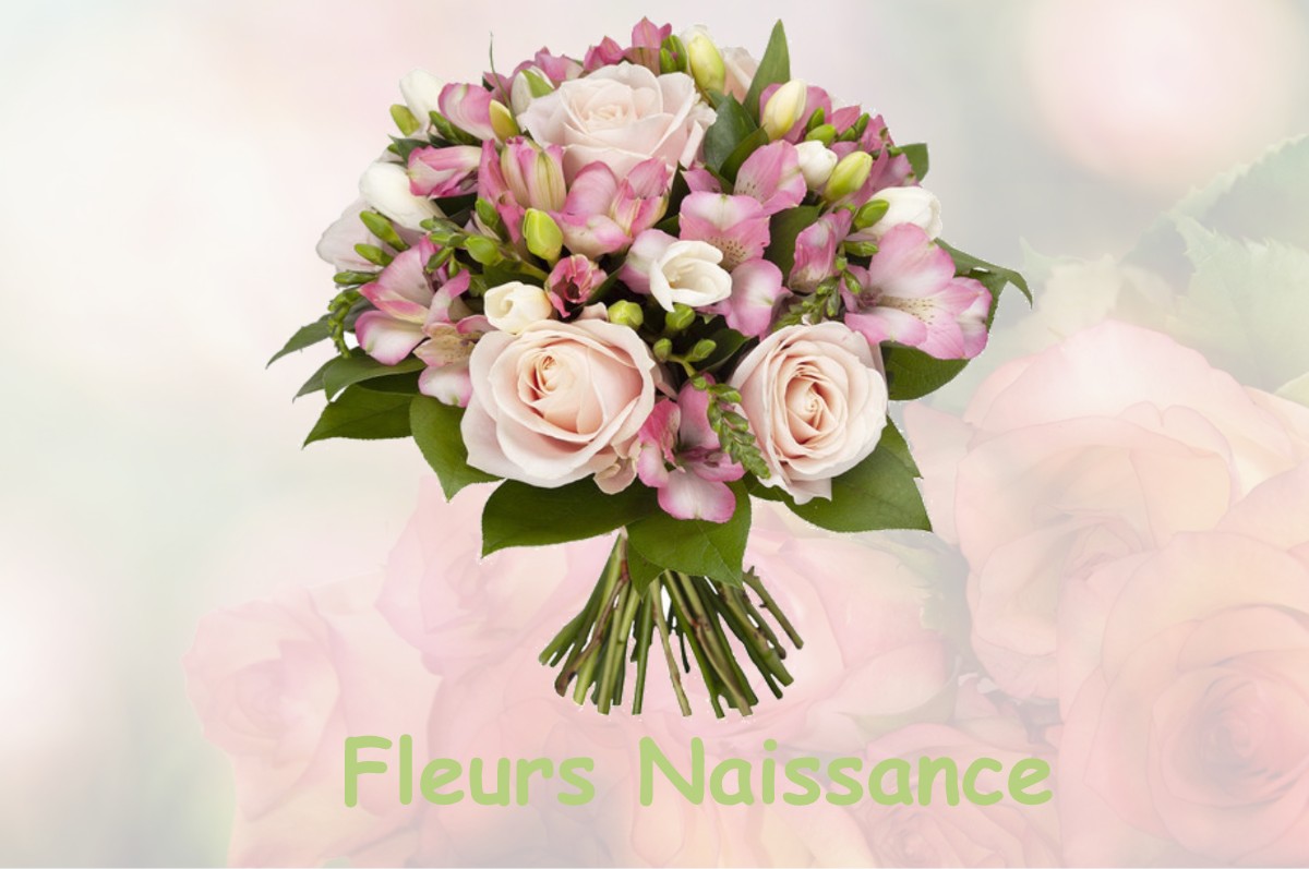 fleurs naissance MORANVILLE