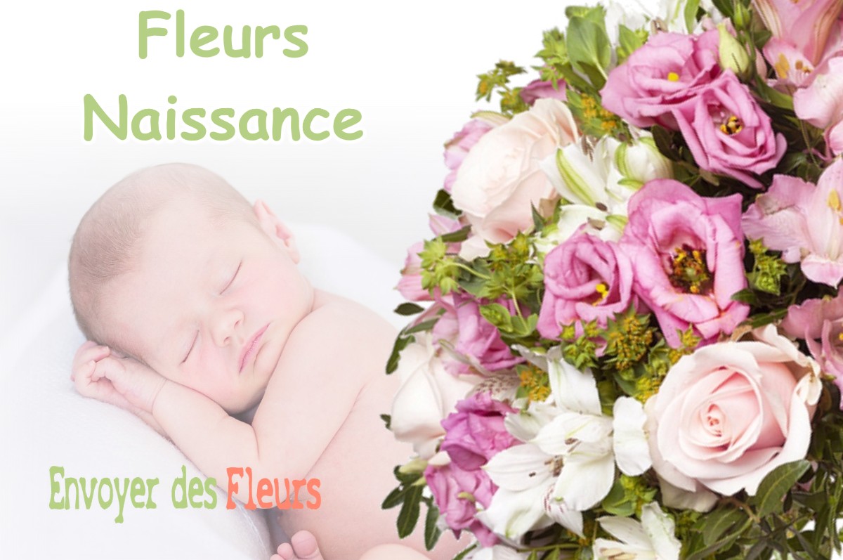 lIVRAISON FLEURS NAISSANCE à MORANVILLE